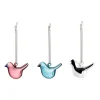 Mini glasfågel mix 3-pack