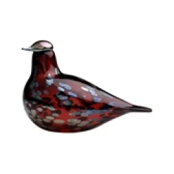 Ruby bird tranbär
