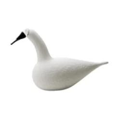 Sångsvan vit 330x210